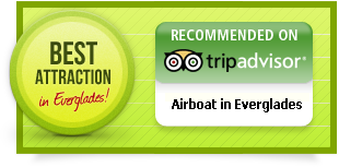 airboat adventures