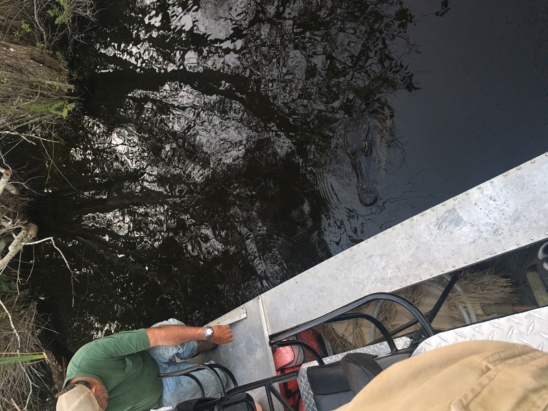 airboat tours florida