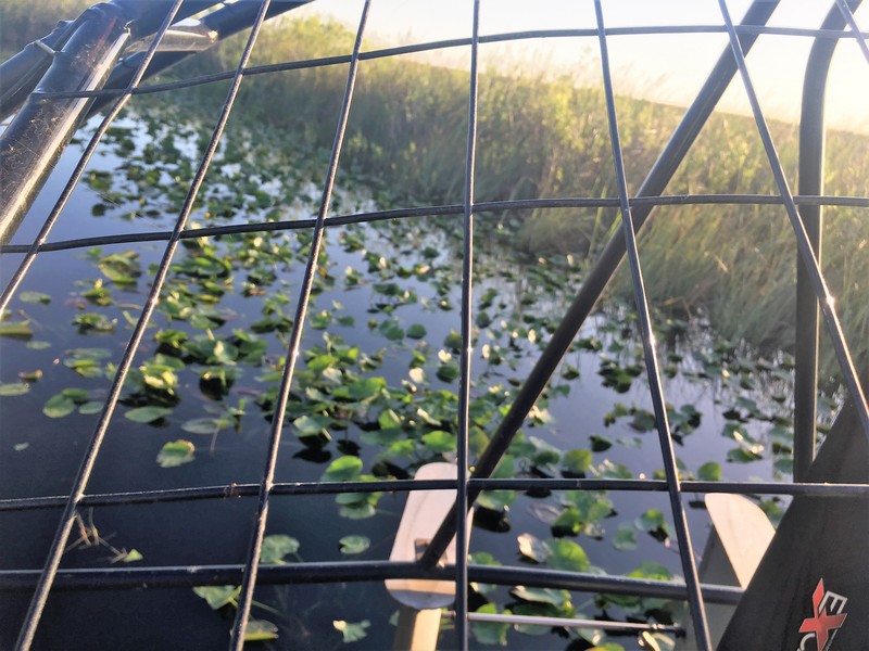 airboat ride near me