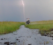 get in touch with nature also have a airboat ride