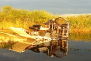 alligator airboat