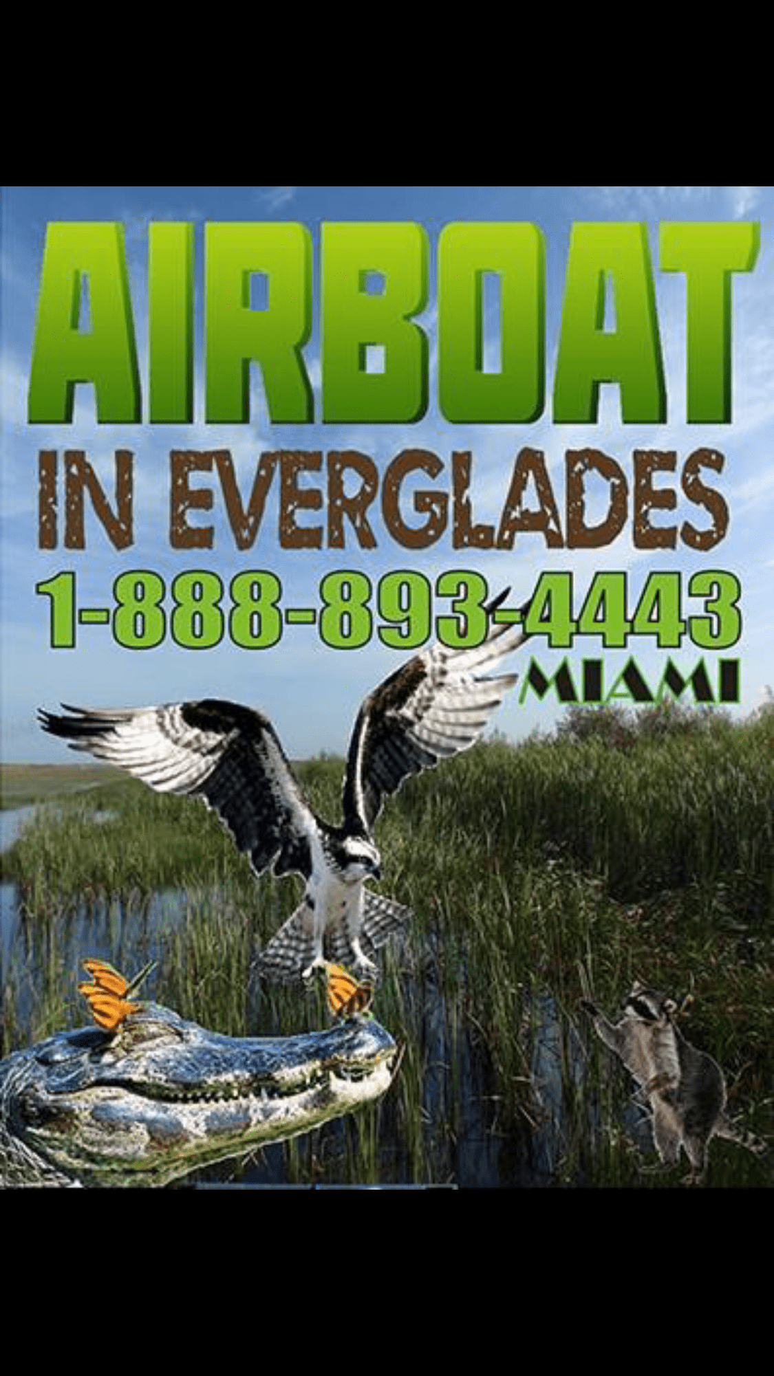 Airboat in Everglades coupon Airboat In Everglades
