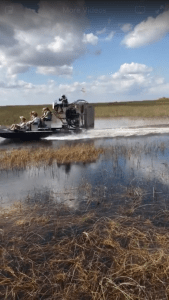 airboat ride everglades