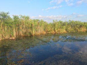 airboat rides near me