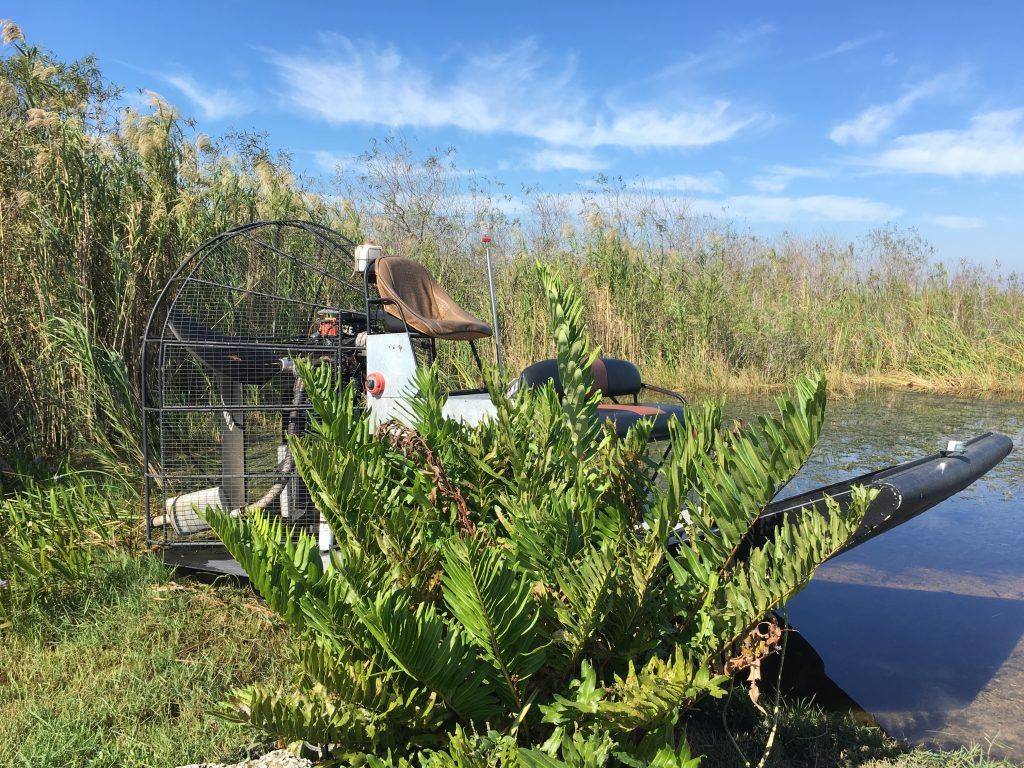 miami florida best places to visit Airboat In Everglades