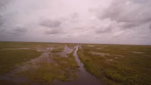 Ariel view of the everglades