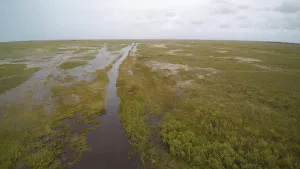 Everglades History