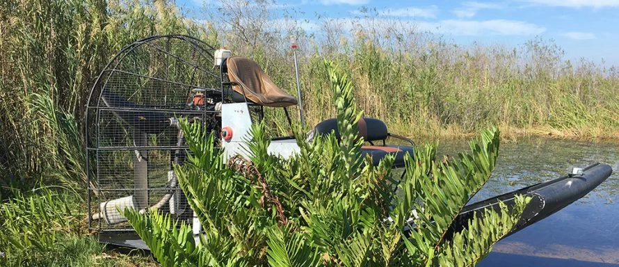 AIRBOAT TOUR 5