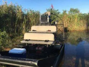 Best Airboat Tour In Everglades