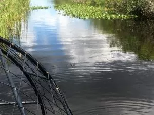 Miami airboat tour