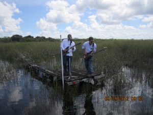 Real Everglades Videos