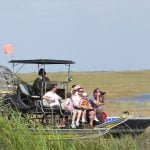 High Quality Everglades Images