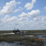 Real Everglades Videos