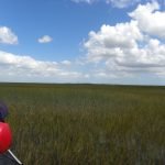 AIRBOAT IN EVERGLADES 2020