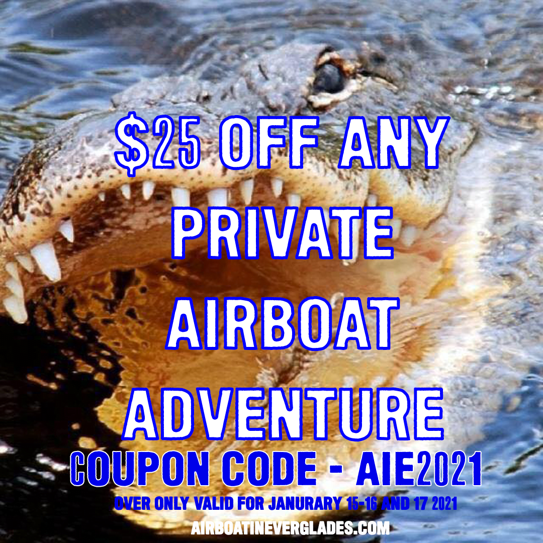 Tours Airboat In Everglades Pricing and Availability