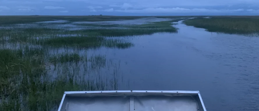 best airboat ride