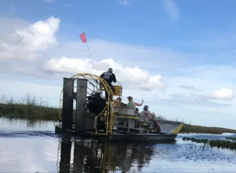 ONE AND A HALF HOUR PORIVATE AIRBOAT ADVENTURE