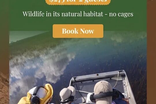 1.5 hour private airboat adventure