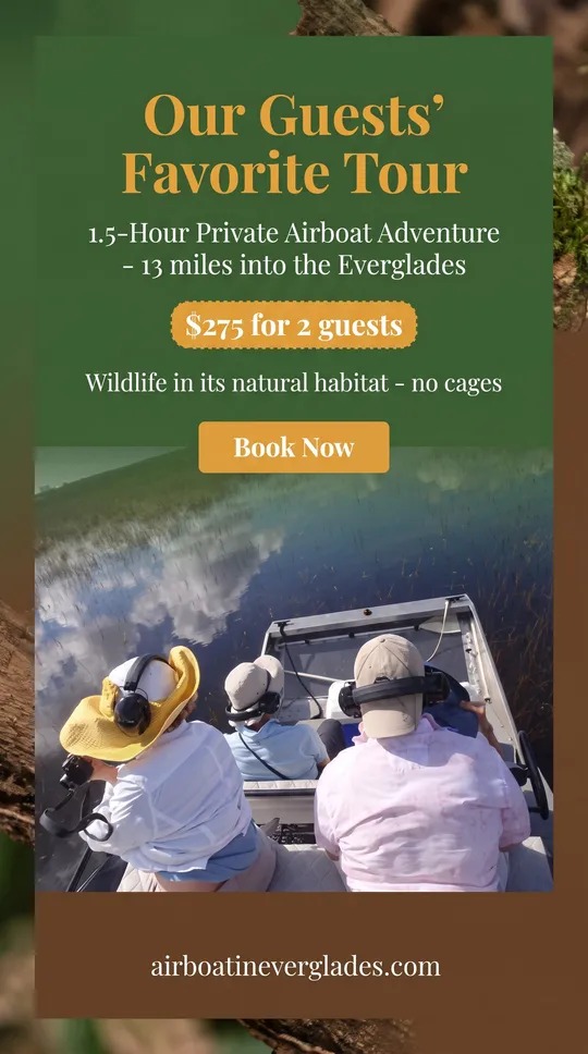 Our guests' favorite tour: 1.5-hour private airboat adventure, 13 miles into the Everglades, $275 for 2 guests
