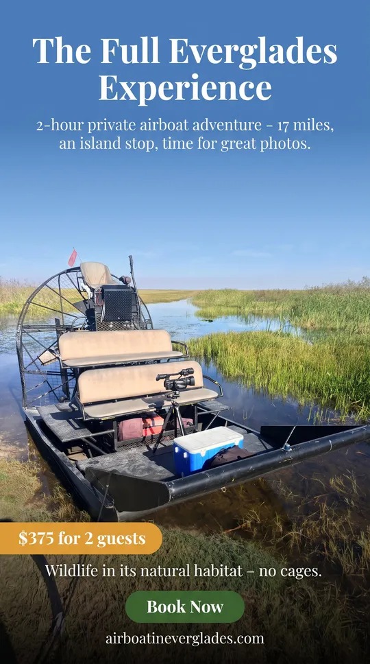 The Full Everglades Experience: 2-hour private airboat adventure, 17 miles with an island stop, $375 for 2 guests