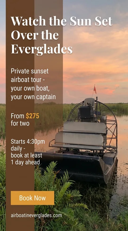 Watch the sun set over the Everglades: private sunset airboat tour from $275 for two