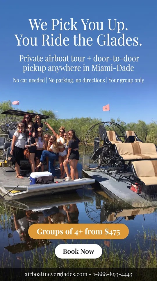 We pick you up, you ride the Glades: private airboat tour with door-to-door pickup in Miami-Dade, groups of 4 or more from $475