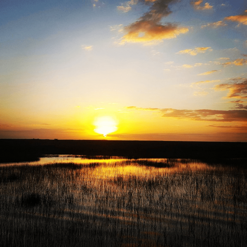 SUNSET AIRBOAT TOUR