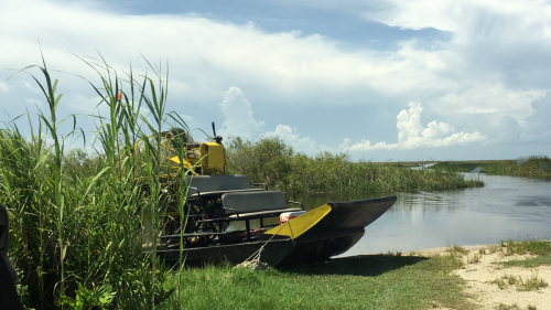 AIRBOATINEVERGLADES21