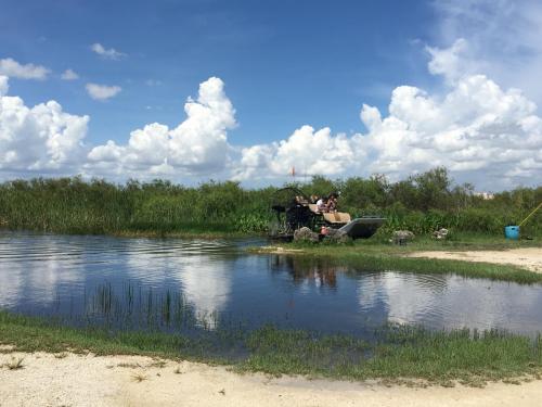 AIRBOATINEVERGLADES7