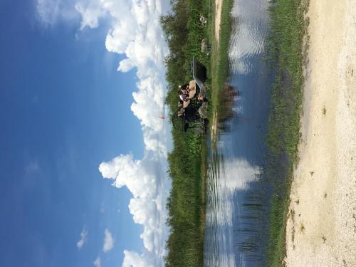 AIRBOATINEVERGLADES8