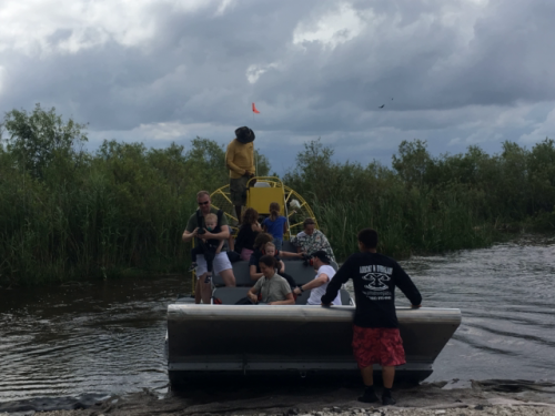 USA alligator tour 2