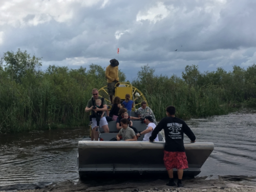 USA alligator tour 3