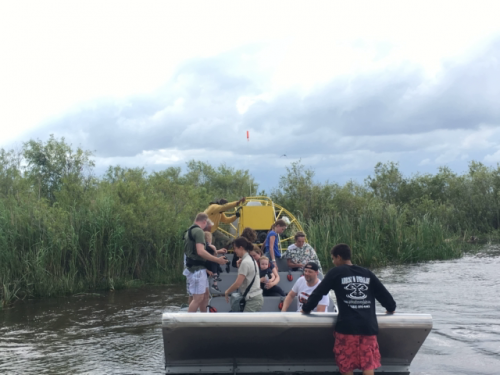 USA alligator tour 4