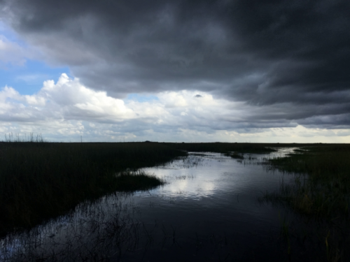 air boat everglades