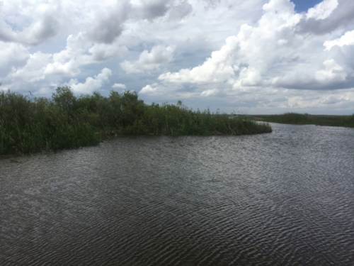 airboat ride everglades