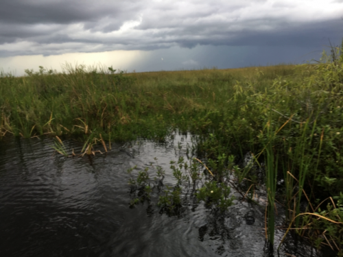 airboat ride miami florida 3