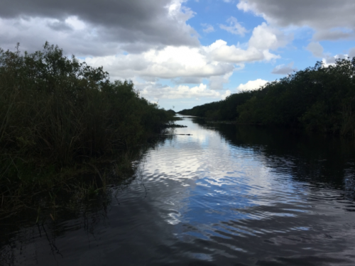 airboat ride miami florida 4
