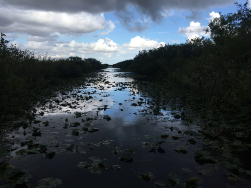 airboat rides everglades