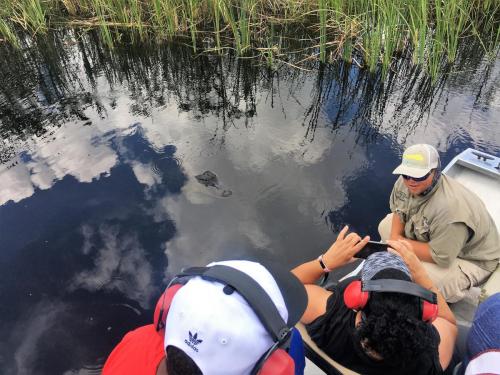 airboat tours everglades