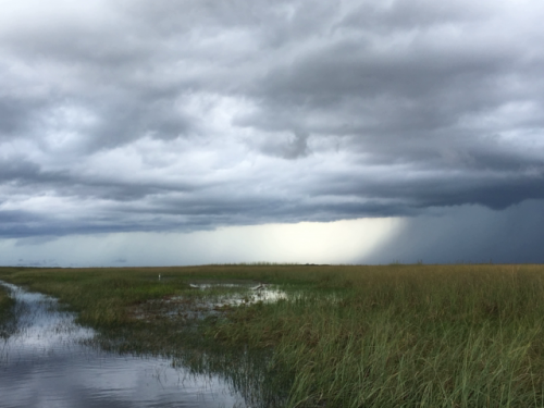 airboat tours near miami 2