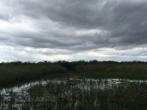airboat tours near miami 4