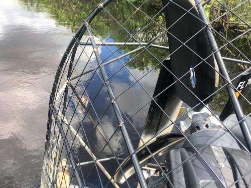 best airboat tour 3