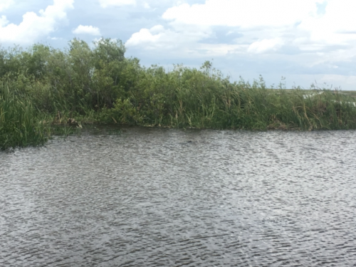 best everglades airboat tours