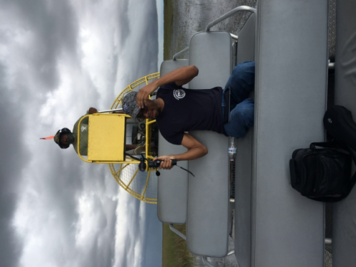 best everglades tour