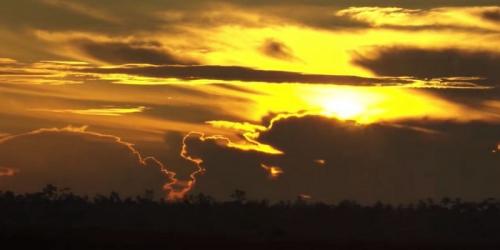 everglades air boat rides