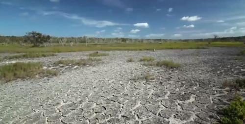 everglades airboat ride