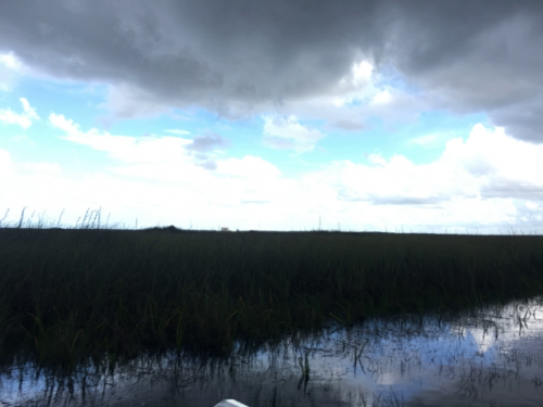 everglades airboat rides