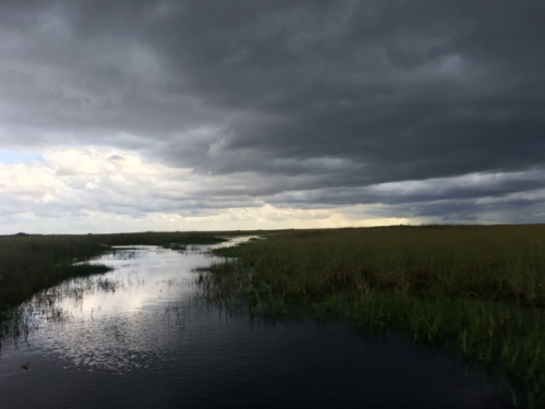 everglades airboat tours