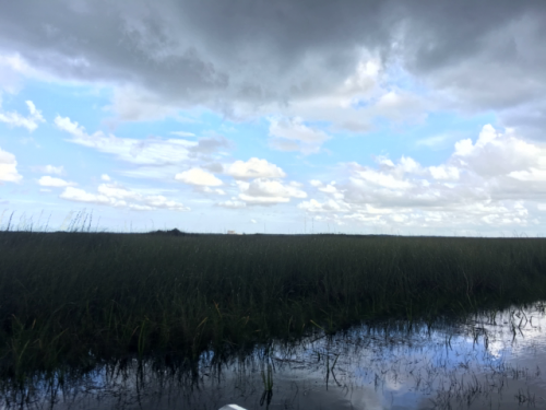 everglades airboat tours miami