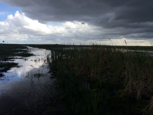 everglades boat tour